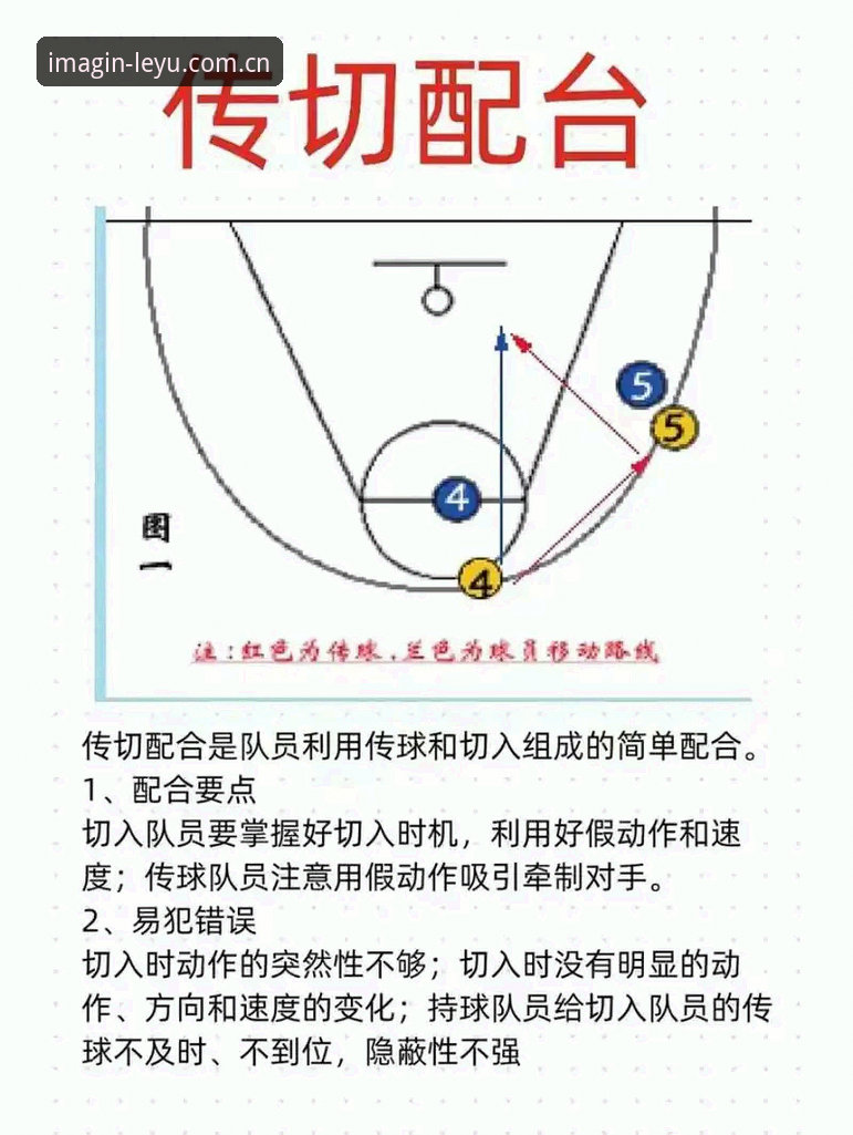 乐鱼R62D篮球水位数据 乐鱼体育平台完整解读:从R62D篮球水位数据到创见版实战指南