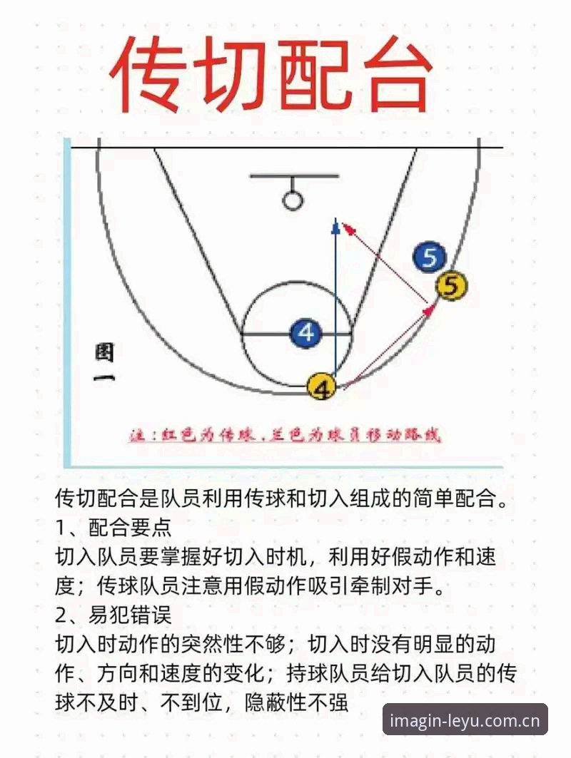乐鱼创见版CN中国入口 乐鱼体育平台创见版R62D全面解析:从篮球水位到电竞赔率的实战指南